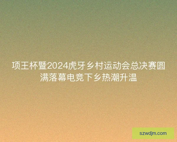 项王杯暨2024虎牙乡村运动会总决赛圆满落幕电竞下乡热潮升温